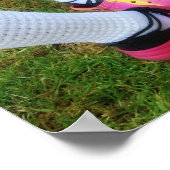 Soft Shoes & Crocs Print Poster (Ecke)