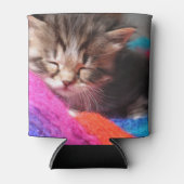 Soft Sleepy Newborn Kitten Phototgraph Dosenkühler (Vorderseite)