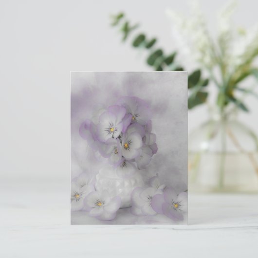 Soft Stiefmütterchen Postkarte (Stehend Vorderseite)