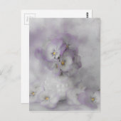 Soft Stiefmütterchen Postkarte (Vorne/Hinten)