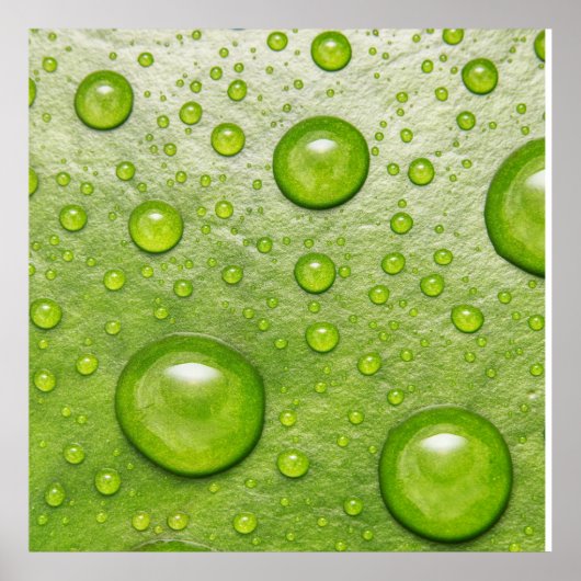 "Soft Touch, Silent Drop" Poster (Vorne)