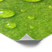 "Soft Touch, Silent Drop" Poster (Ecke)