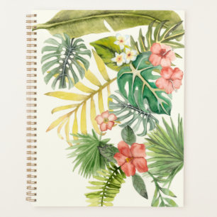 Soft Tropics Planer