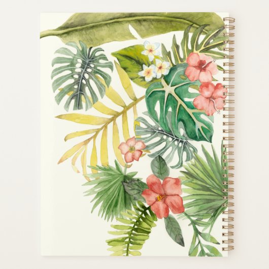 Soft Tropics Planer (Rückseite)