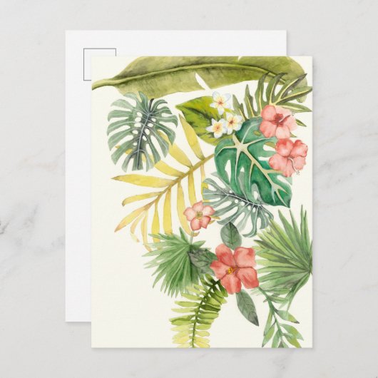 Soft Tropics Postkarte (Vorne/Hinten)