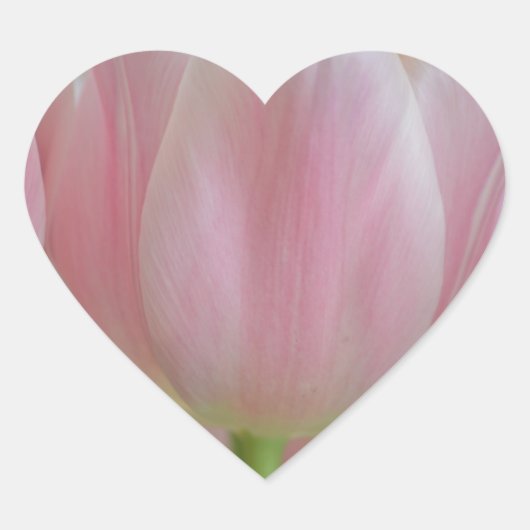Soft Tulips Herz-Aufkleber (Vorderseite)