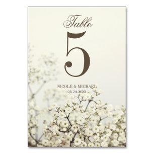Soft Vintages Gipskraut Hochzeit Tischnummer