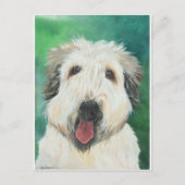 Soft Wheaton Terrier Hundebilder Postkarte (Vorderseite)