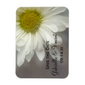 Soft White Daisy auf der grauen Hochzeit Speichern Magnet (Vertikal)
