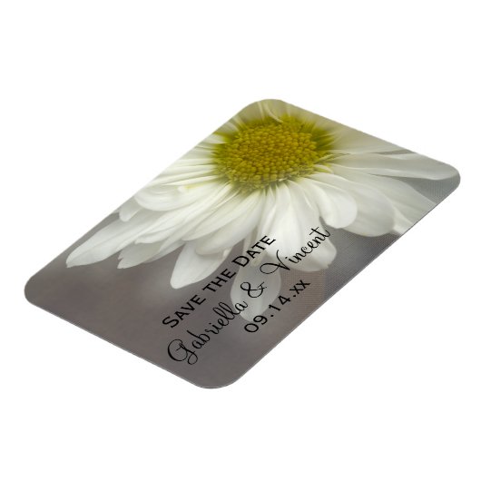 Soft White Daisy auf der grauen Hochzeit Speichern Magnet (Linke Seite)