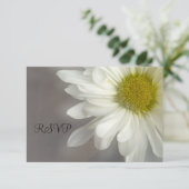 Soft White Daisy on Grey Wedding RSVP Karte (Stehend Vorderseite)