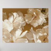 Soft White Floral Poster (Vorne)