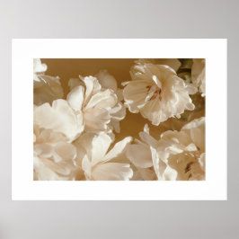 Soft White Floral Poster