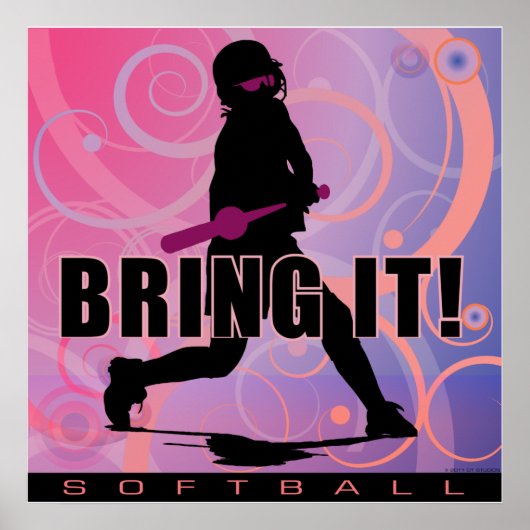 Softball101 Poster (Vorne)