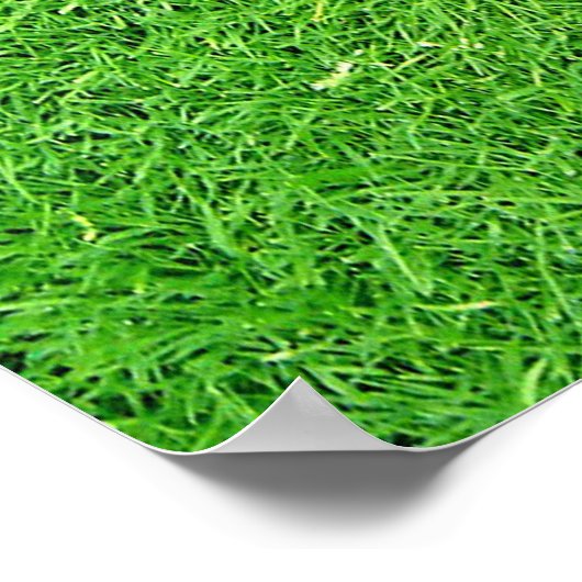 Softball Dirty Name Team Number Ball Poster (Ecke)