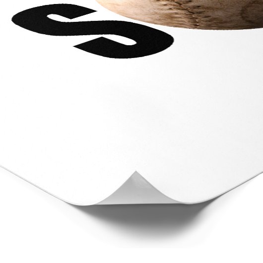 Softball Poster (Ecke)