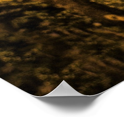 SOFTPEACE POSTER (Ecke)