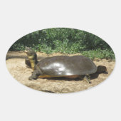 Softshell Turtle Ovaler Aufkleber (Vorderseite)
