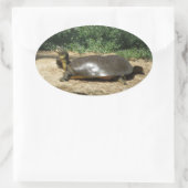 Softshell Turtle Ovaler Aufkleber (Tasche)