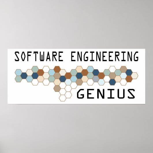Software Engineering Genius Poster (Vorne)