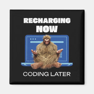 Software-Entwickler von Bigfoot Programmer Coder Magnet