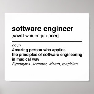 Software-Ingenieur Poster