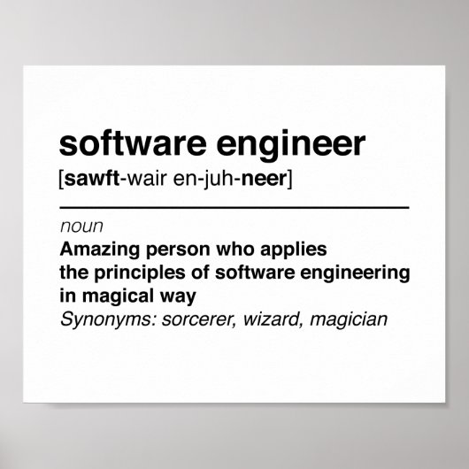 Software-Ingenieur Poster (Vorne)