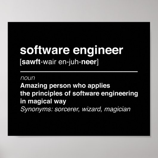 Software-Ingenieur Poster (Vorne)