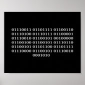 Softwareentwickler Poster (Vorne)