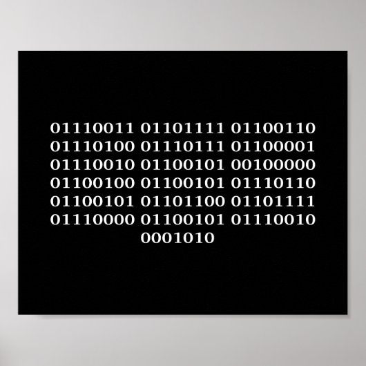 Softwareentwickler Poster (Vorne)