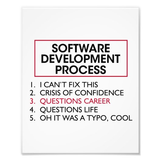 Softwareentwickler - Softwareentwicklungsprozess Fotodruck (Vorne)