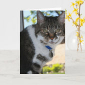 Softy Blank Grußkarte Karte (Gelbe Blume)