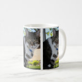 Softy Tabby Cat Tasse (VorderseiteRechts)