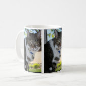 Softy Tabby Cat Tasse (Vorderseite Links)