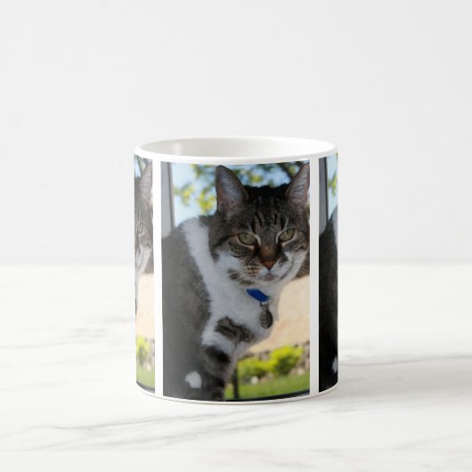 Softy Tabby Cat Tasse (Mittel)
