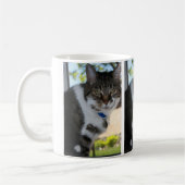 Softy Tabby Cat Tasse (Links)