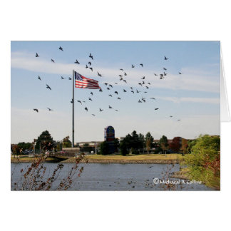 Sogar die Enten-Liebe die USA