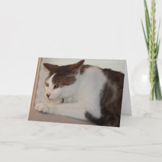 Sogar kann eine gute Katze einen schlechten Tag Karte
