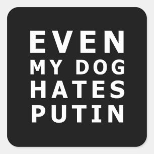 sogar mein Hund hasst Putin Quadratischer Aufkleber