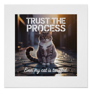 Sogar meine Katze wird verzollt - Vertrau auf den Poster