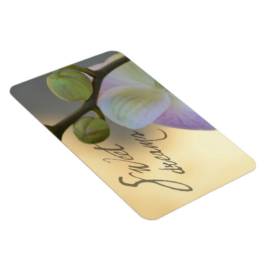 Sogni D'oro (süße Träume) Orchid Magnet (Rechte Seite)
