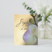 Sogni D'oro (süße Träume) Orchid Postkarte (Stehend Vorderseite)