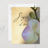 Sogni D'oro (süße Träume) Orchid Postkarte (Vorne/Hinten)