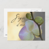 Sogni D'oro (süße Träume) Orchid Postkarte (Vorne/Hinten)
