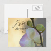 Sogni D'oro (süße Träume) Orchid Postkarte (Vorne/Hinten)