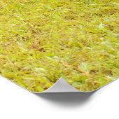 Söhne von Anarchy Motorrad schießen! Poster (Ecke)