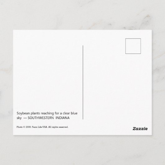 Sojabohnen-Pflanze wachsen unter der Blue Sky Post Postkarte (Rückseite)