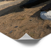 Sojus Rakete kurz nach der Ankunft Poster (Ecke)