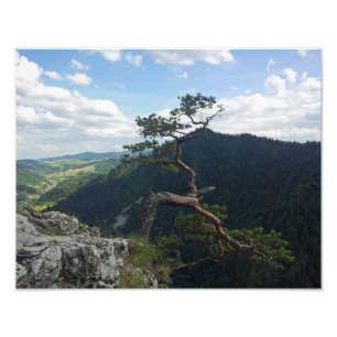 Sokolica, Pieniny Fotodruck