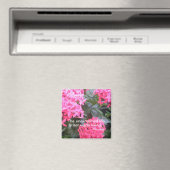 Sokrates - Motivierend Quotationsmagazin Magnet (In Situ (Geschirrspüler))